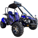 Go Kart - TrailMaster Blazer 200R
