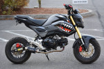 2018 Honda GROM 125J