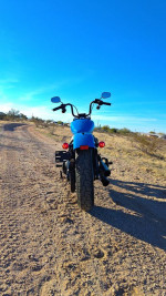 Harley Davidson Street Bob 2022