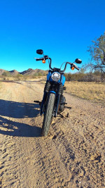 Harley Davidson Street Bob 2022