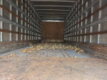 Others 123,000 mi