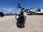 2022 Harley Davidson Iron 883
