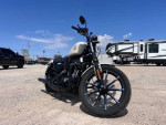 2022 Harley Davidson Iron 883