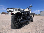 2022 Harley Davidson Iron 883