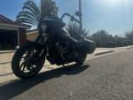 Harley Sport Glide - 2020