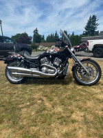 2004 Harley Davidson V Rod