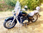 2005 Honda Shadow Sabre V Twin VT 1100cc 74k miles. Great shape.