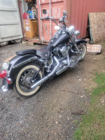 1998 H.D. Heritage soft tail