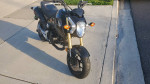 2015 Honda Grom  runs great 3k miles
