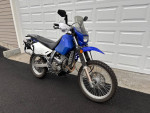 2008 DR 650 Suzuki