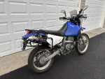 2008 DR 650 Suzuki
