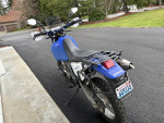 2008 DR 650 Suzuki