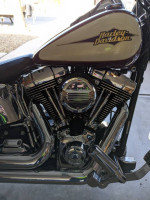 2007 Harley Davidson Softail Custom