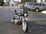 09 harley dyna