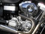 09 harley dyna