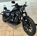 2020 Harley-Davidson Sportster Iron 883