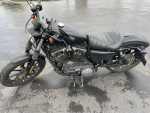 Harley Davidson Iron 883