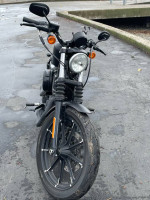 Harley Davidson Iron 883
