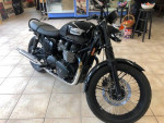 2014 Triumph T 100