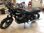2014 Triumph T 100