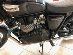 2014 Triumph T 100