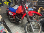 1984 xr 500