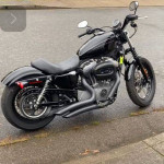 2009 Harley-Davidson 1200 Sportster