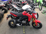 2023 Kawasaki Z125 PRO SKU:10PDA27712-K