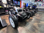 2022 Ryker Rally Rotax 900 ACE