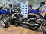 2022 Ryker Rally Rotax 900 ACE