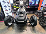 2022 Ryker Rally Rotax 900 ACE