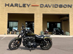 2017 Iron 883