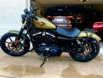 2017 Iron 883