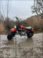 Mini Bike (Predator 212 Ghost)