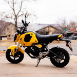 2022 Honda Grom