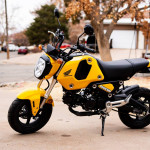 2022 Honda Grom