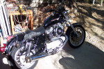 HARLEY XL1200S SPORT '98