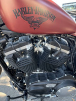 2017 Harley Davidson Iron 883