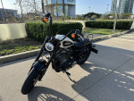 2019 Roadster Harley Davidson 1200