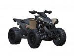 CAN AM RENEGADE XXC 1000R