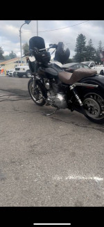 2000 Harley dyna fxd dyna
