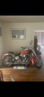 Santee Custom show bike