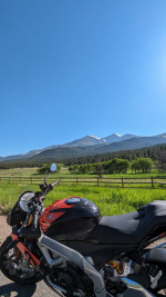 2019 Aprilia Tuono v4 1100RR