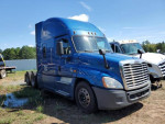 Others 50,000 mi