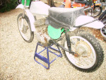 cz 250 cc