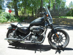 14  Sportster 883 Iron
