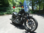 14  Sportster 883 Iron