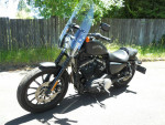 14  Sportster 883 Iron