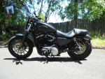 14  Sportster 883 Iron