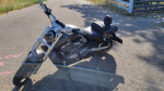 2009 V Rod Muscle